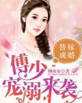 傅少宠溺来袭