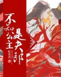 不知公主是夫郎
