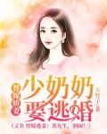 替嫁娇妻：少奶奶要逃婚