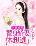 全球通缉：替身娇妻休想逃