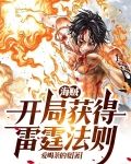 海贼：开局获得雷霆法则