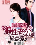 萌妻养成：狼性老公轻点爱