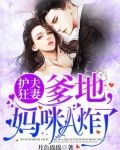 护夫狂妻：爹地，妈咪A炸了！