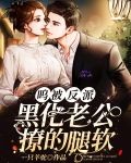 呜！被反派黑化老公撩的腿软