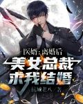 医婿：离婚后，美女总裁求我结婚