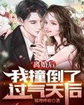 离婚后，我撞倒了过气天后