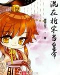 混在北宋当皇帝