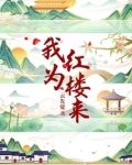 我为红楼来