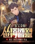 鉴宝金瞳：从摆摊到世界首富