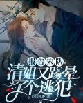 报告宋队，清姐又脚踢晕了个逃犯