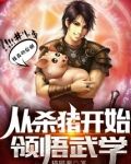 从杀猪开始领悟武学