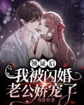 领证后，我被闪婚老公娇宠了