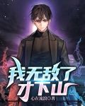 我无敌了才下山