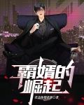 霸婿的崛起