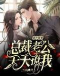 盛世暖婚：总裁老公天天撩我