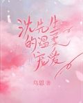 沈先生的温柔宠爱
