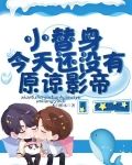 小替身今天还没有原谅影帝
