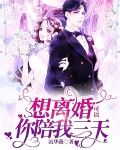想离婚可以你陪我三天