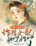 综穿：清穿文作精女配她不作了