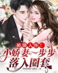 被锁入怀！小娇妻一步步落入圈套