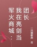 军火商城：我在亮剑当团长