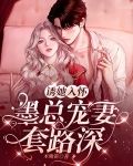 诱她入怀，墨总宠妻套路深