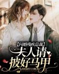 闪婚残疾总裁：夫人请披好马甲！