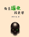 我去缅北找老婆