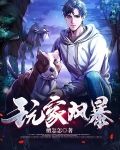 玩家风暴