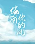 偏向，你的风