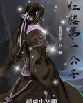 红楼第一公子