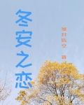 冬安之恋