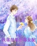 惊，我居然是恶毒女配