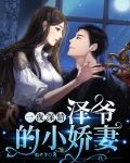 小说一夜深情