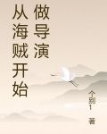 从海贼开始做导演