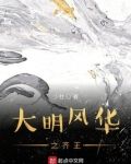 大明风华之齐王