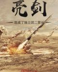 亮剑：我成了独立团二营长