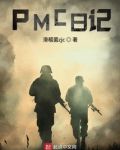 PMC日记