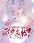 清穿好孕：震惊！我又多胎了
