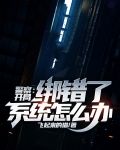 警察：开局绑错了系统怎么办