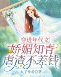 穿进年代文：娇媚知青虐渣不差钱