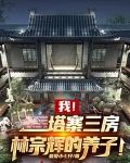 我！塔寨三房，林宗辉的养子！