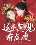 这个贞观有点傻