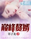 巅峰赘婿林子铭