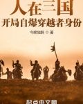 人在三国，开局自爆穿越者身份
