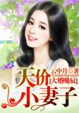 大婚晚辰，天价小妻子
