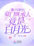 惊！闪婚的豪门继承人竟是白月光