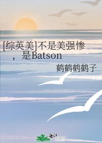 [综英美]不是美强惨，是Batson