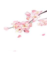 封鸾星运
