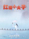 红楼小夫子